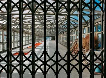 Paripesa Casino Mobiilirakendus